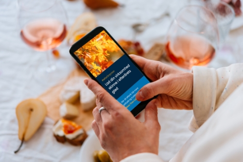 Efterårskampagne 2024