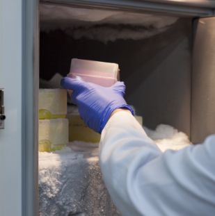 Laboratoriefryseskabe.